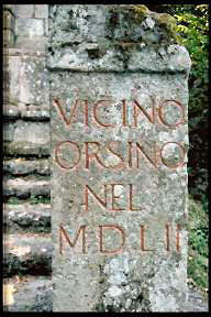 Vicino Orsini